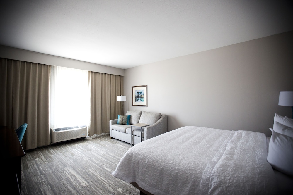 Room, 1 King Bed with Sofa bed, Accessible, Non Smoking (Roll In Shower) photo 3