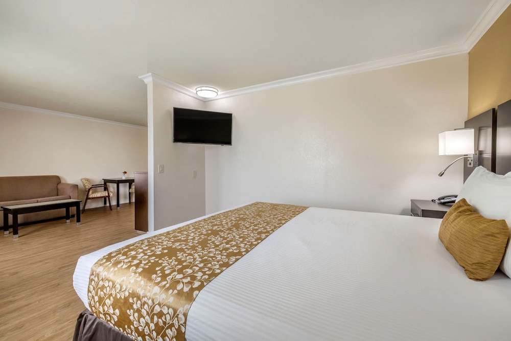 Studio Suite, 1 King Bed, Non Smoking - Photo 3