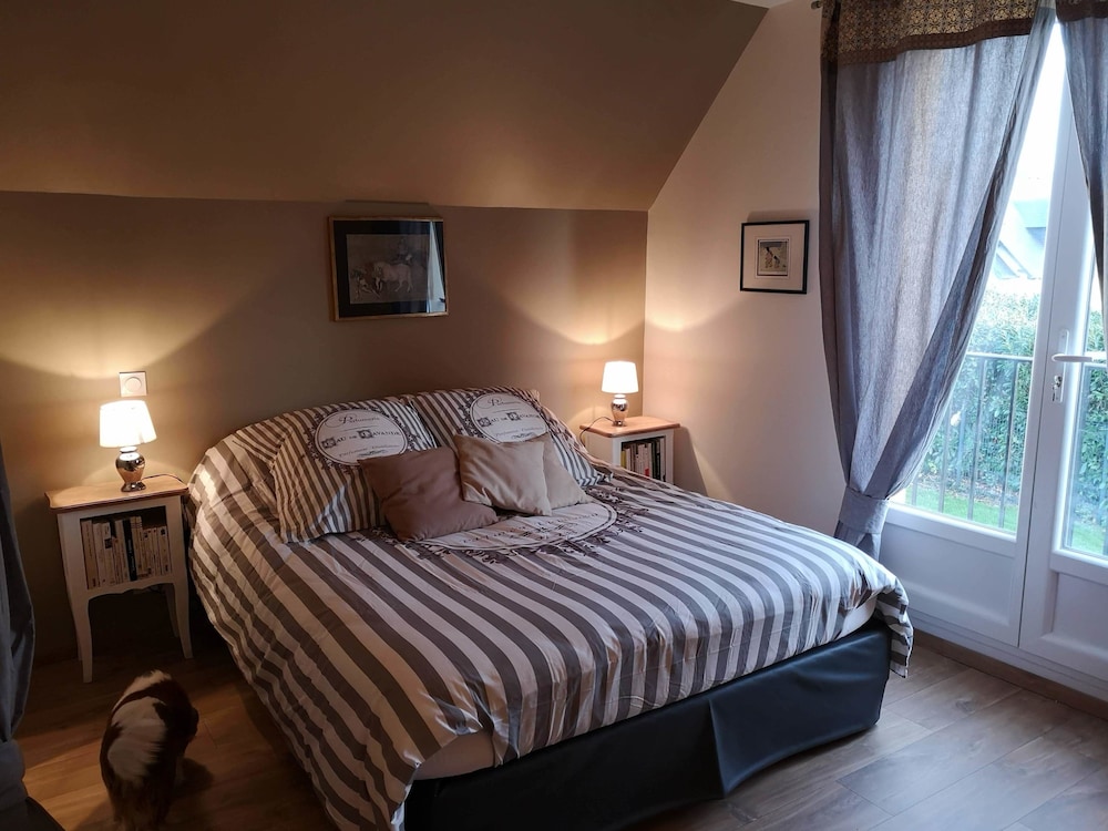 Comfort Double Room photo 1