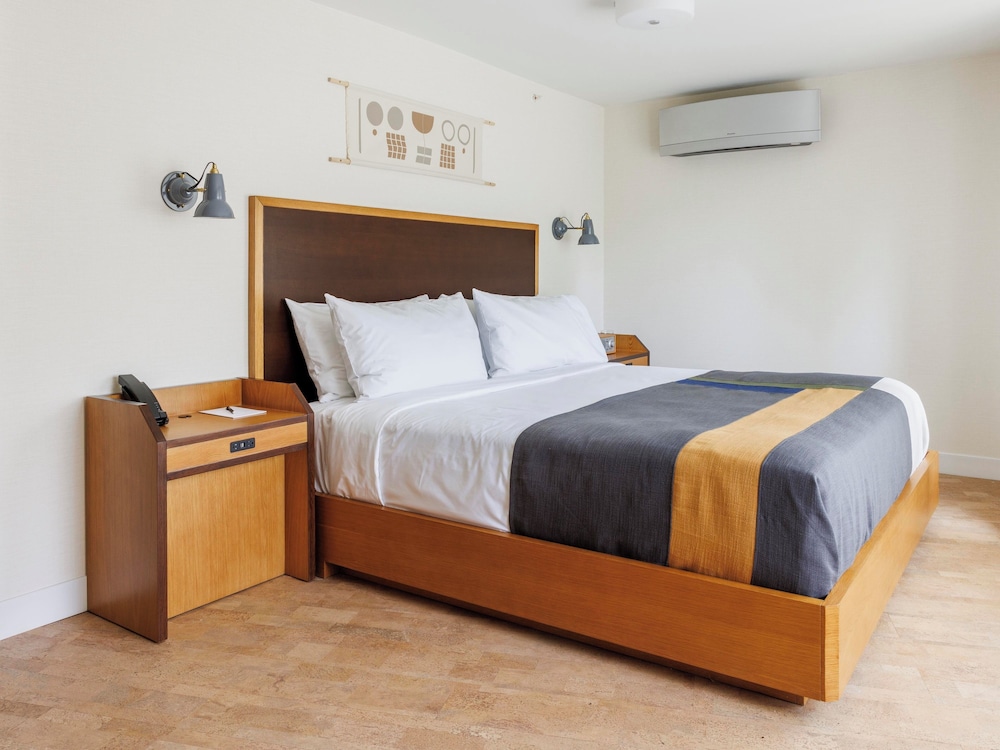 Trailborn Deluxe Suite