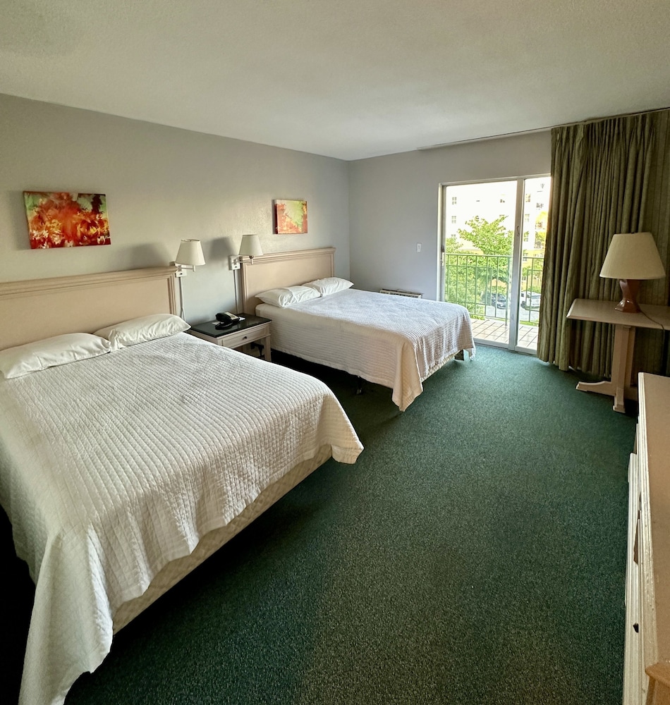 Basic Double Room - Photo 5