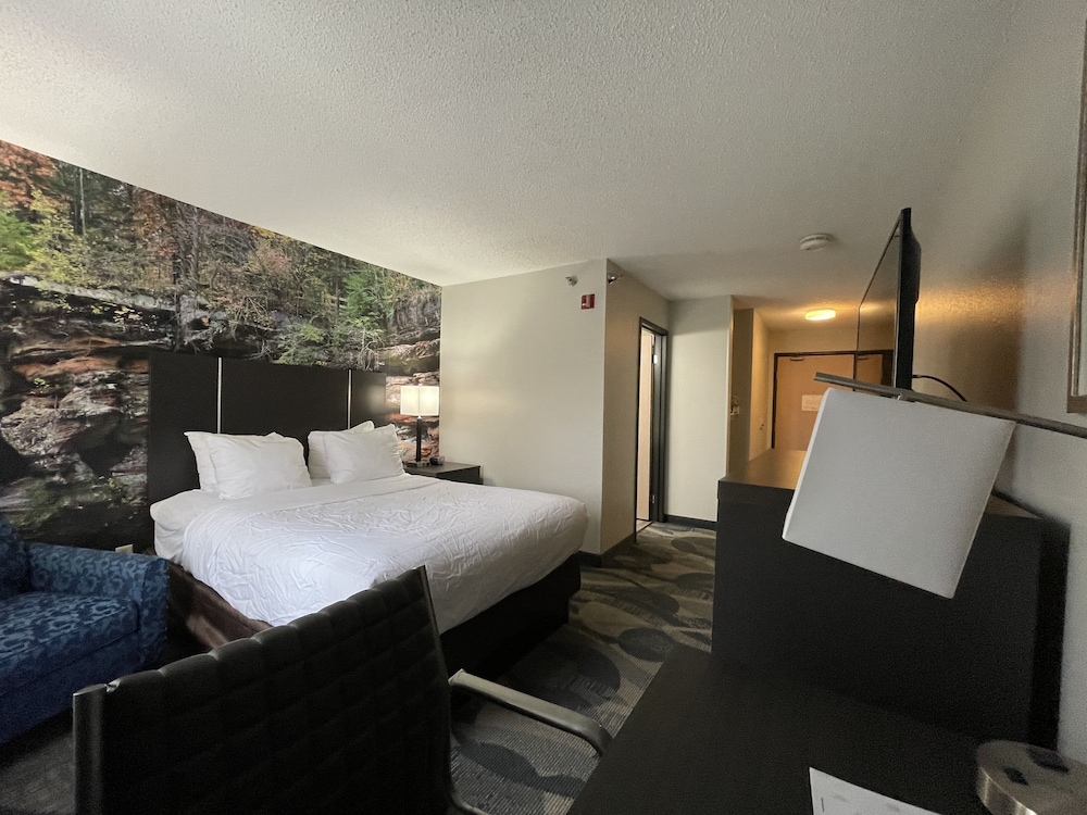 Efficiency Suite King Non Smoking 1 person Sofa bed - Photo 6