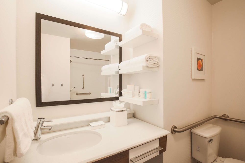 Room, 1 King Bed, Accessible, Non Smoking (Bathtub, Hearing) - Photo 9