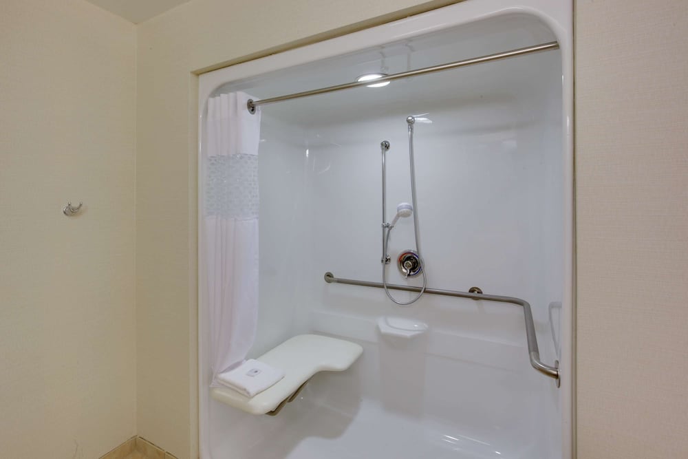 Room, 1 King Bed, Accessible (Roll-In Shower) photo 2