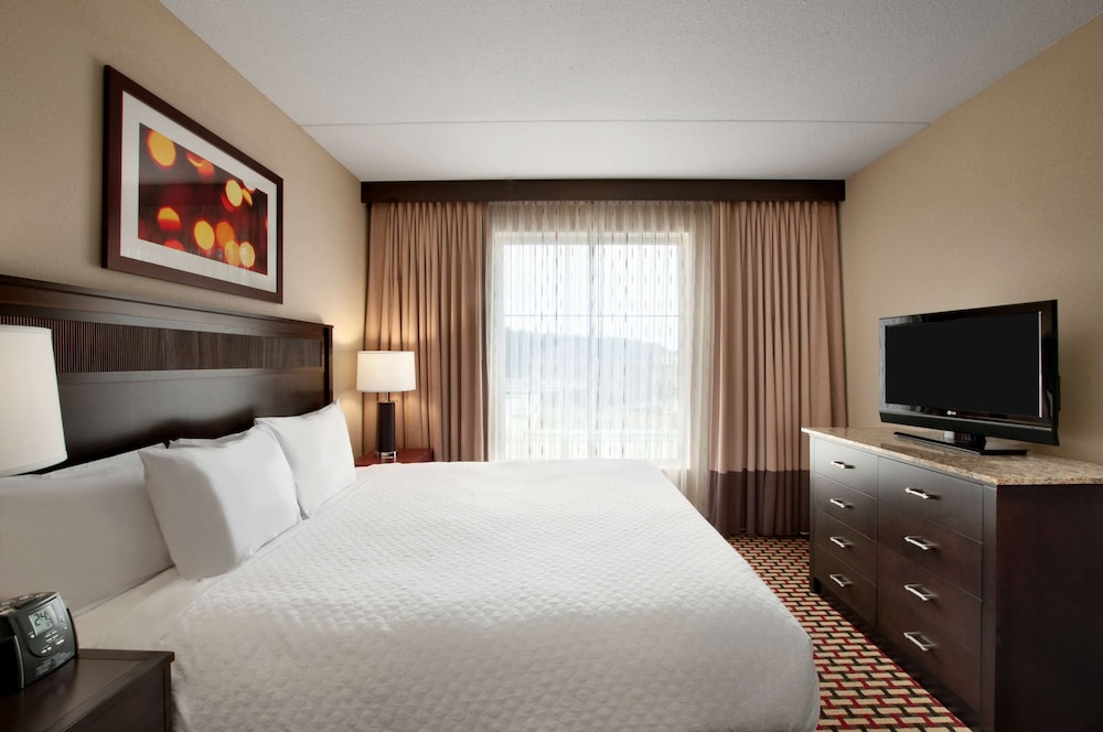 Suite, 1 King Bed, Allergy Friendly - Photo 2