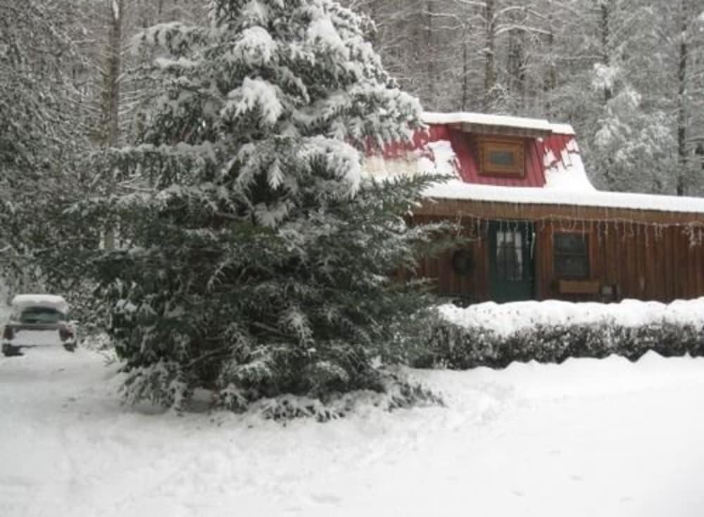 Deluxe Suite, 1 Queen Bed, Private Bathroom, Mountain View photo 1