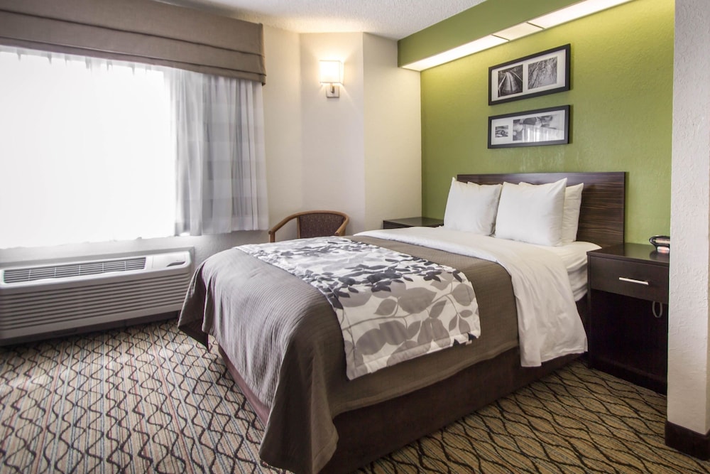 Standard Room, 1 Queen Bed, Non Smoking - Photo 5