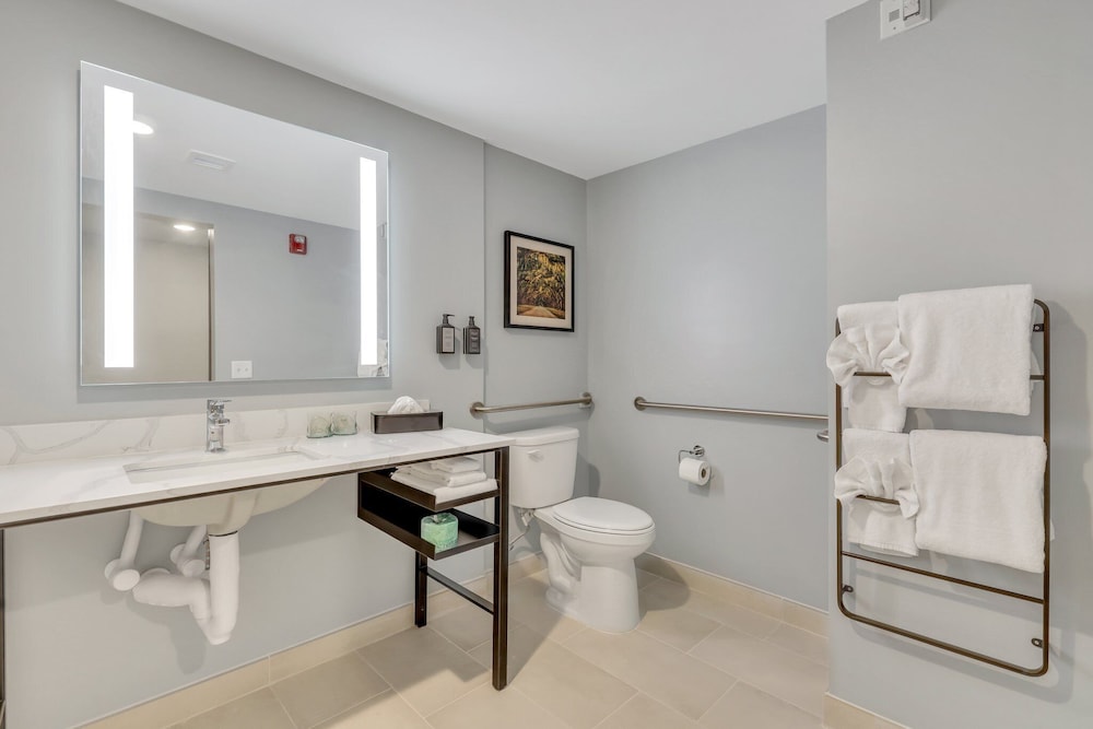 Standard Room, 1 King Bed, Accessible - Photo 8