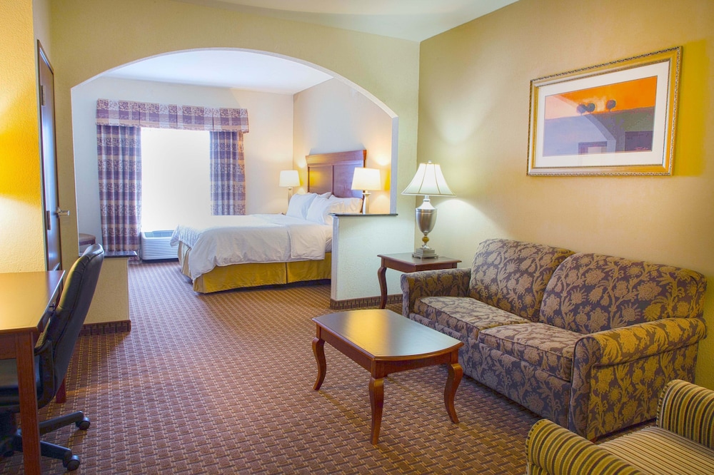 Suite, 1 King Bed with Sofa bed, Accessible (Communications) photo 2