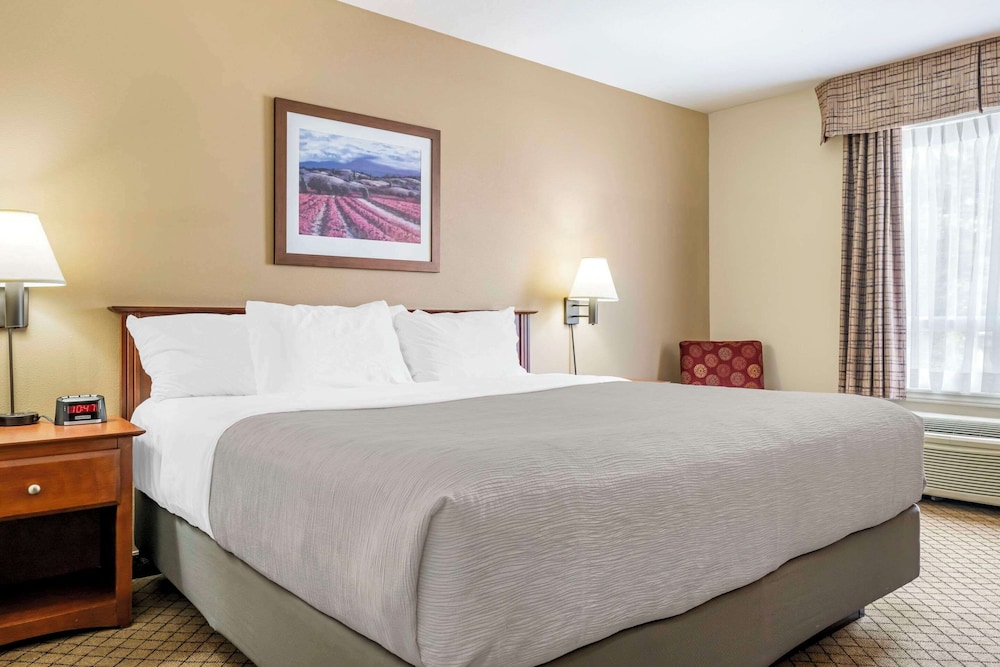 Standard Room, 1 King Bed, Non Smoking - Photo 1