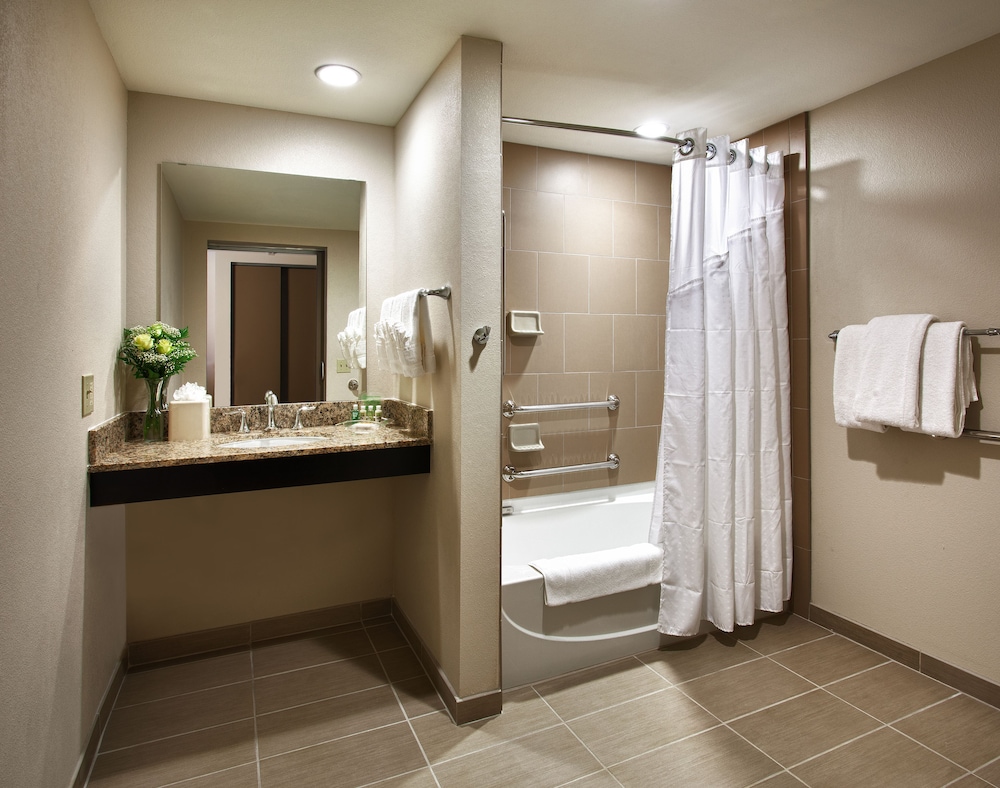 Suite, 1 Bedroom, Accessible Bathtub (Mobility) - Photo 5