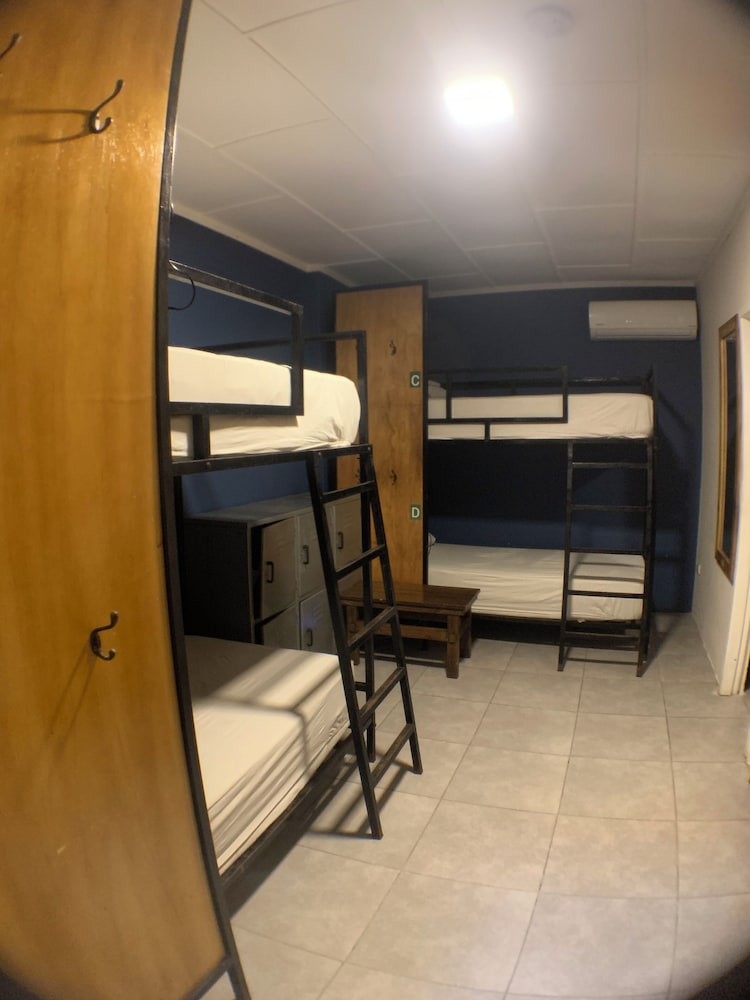 Shared Dormitory, Multiple Beds photo 1