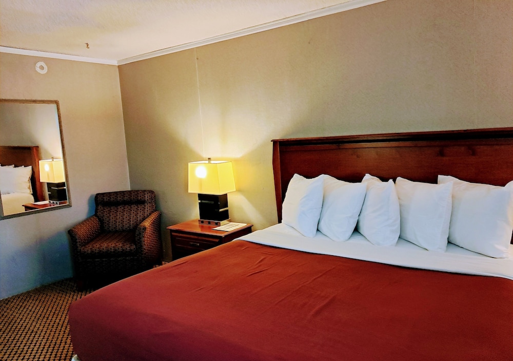Standard Single Room photo 2