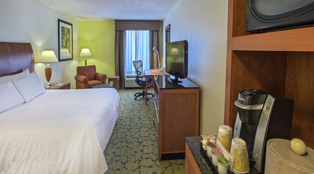 One king bed evolution room photo 1