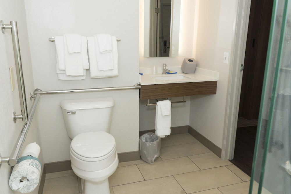 Room, 1 King Bed, Accessible (Communications, Roll-In Shower) - Photo 8