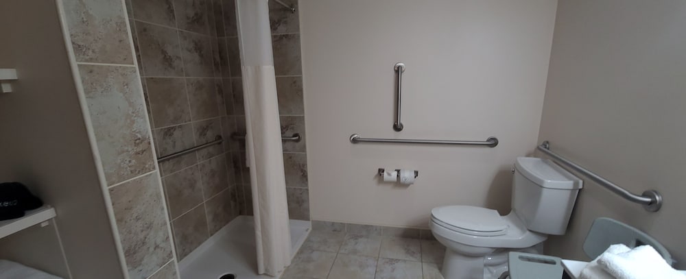 Standard Single Room, 1 King Bed With Sofa Bed, Accessible, Non Smoking (With Sofabed) - Photo 5
