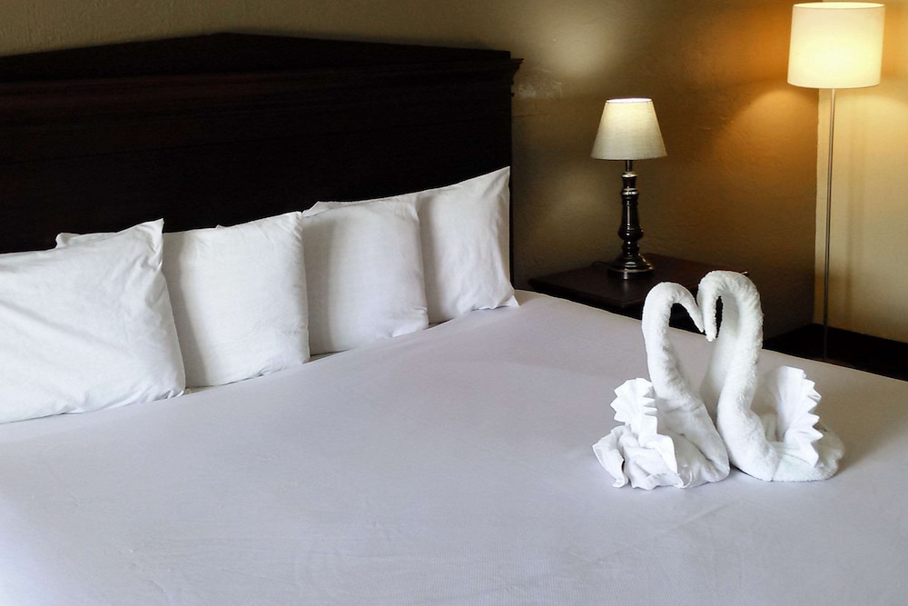 Standard Room, 1 King Bed, Non Smoking - Photo 3