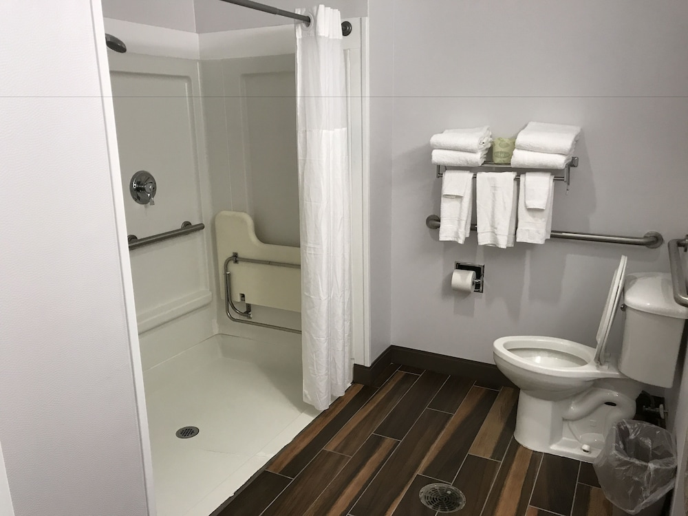 Room, 1 King Bed, Accessible, Non Smoking (Roll-in Shower) - Photo 7