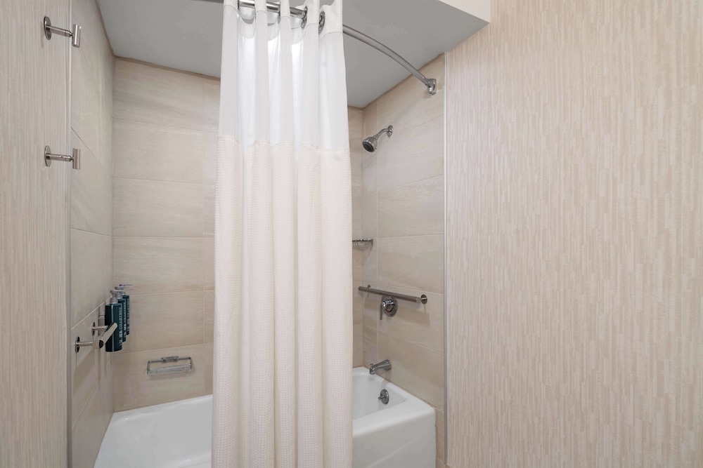 Room, 1 King Bed, Accessible, Non Smoking (Roll-in Shower) - Photo 11