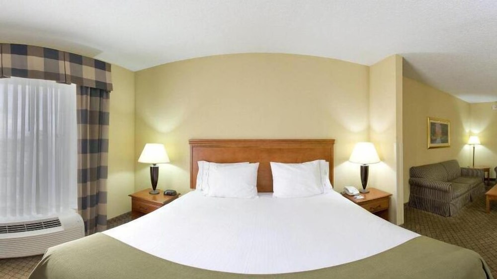 Suite, 1 King Bed with Sofa bed - Photo 3