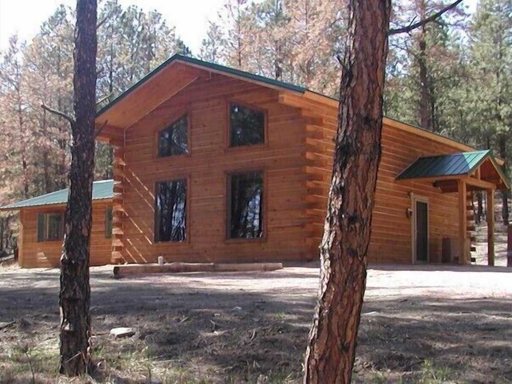 Premier Cabin (Desperado) photo 2