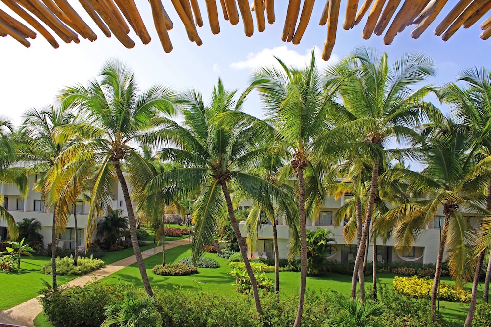 Premium Junior Suite