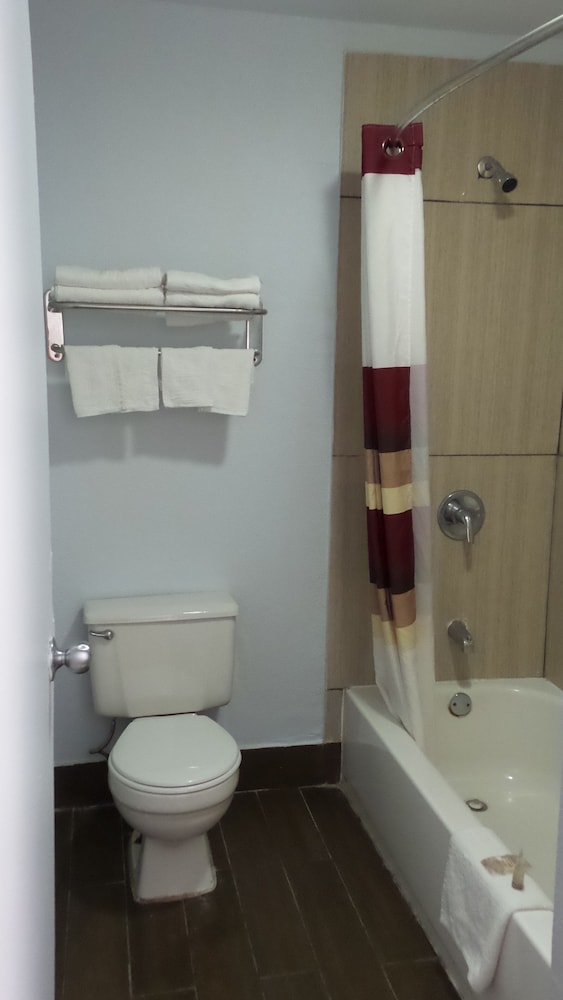 Comfort Single Room, 1 King Bed, Non Smoking photo 2