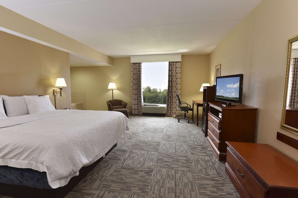 Room, 1 King Bed, Accessible, Non Smoking - Photo 1