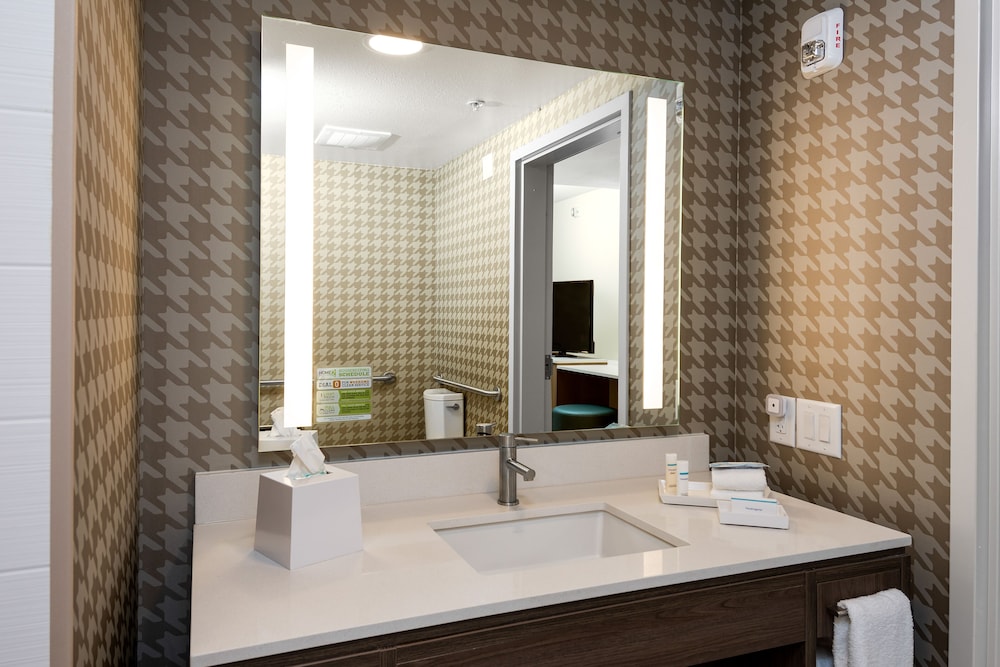 Suite, 1 King Bed, Accessible (Roll-In Shower)