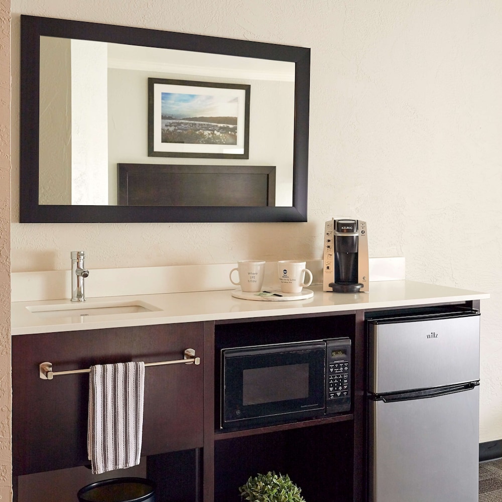Standard Room, 1 King Bed, Accessible, Refrigerator & Microwave - Photo 2
