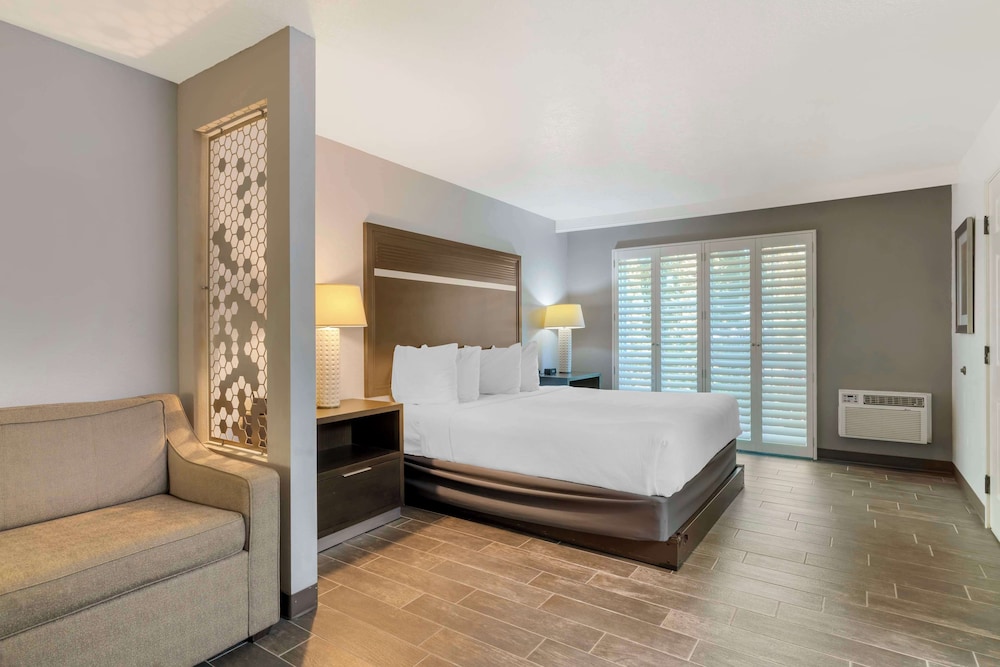 Suite, 1 King Bed, Non Smoking, Refrigerator & Microwave (Pet Friendly;with Sofabed) - Photo 2