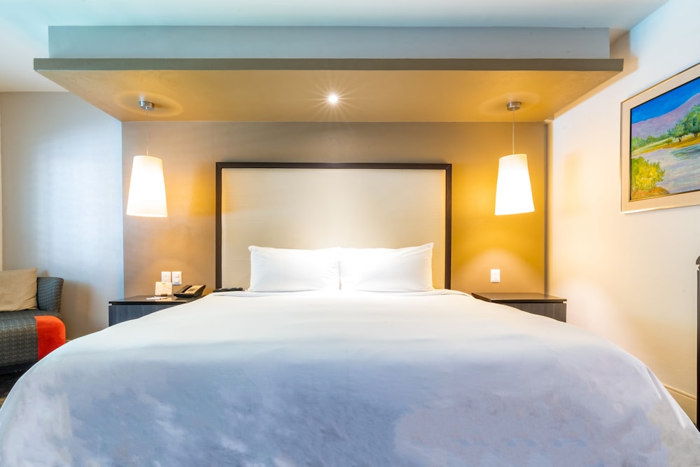 Executive Room, 1 King Bed - Photo 2