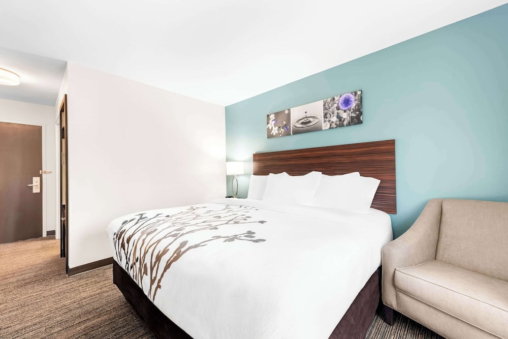 Room, 1 King Bed, Non Smoking - Photo 2