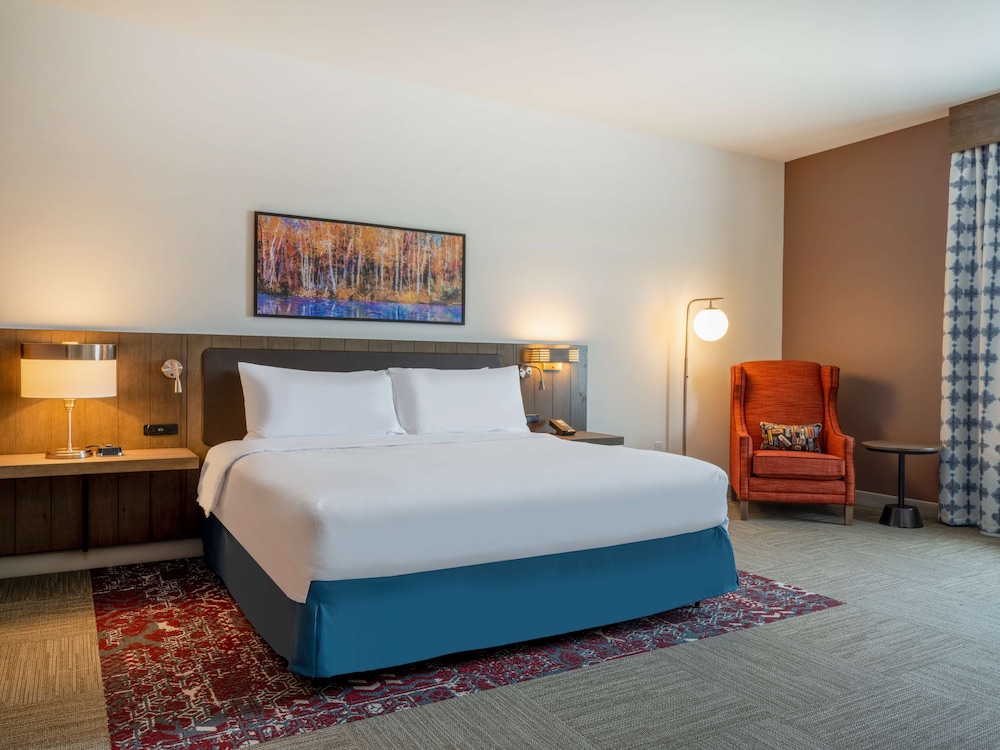 Room, 1 King Bed, Accessible (Roll-In Shower) - Photo 1