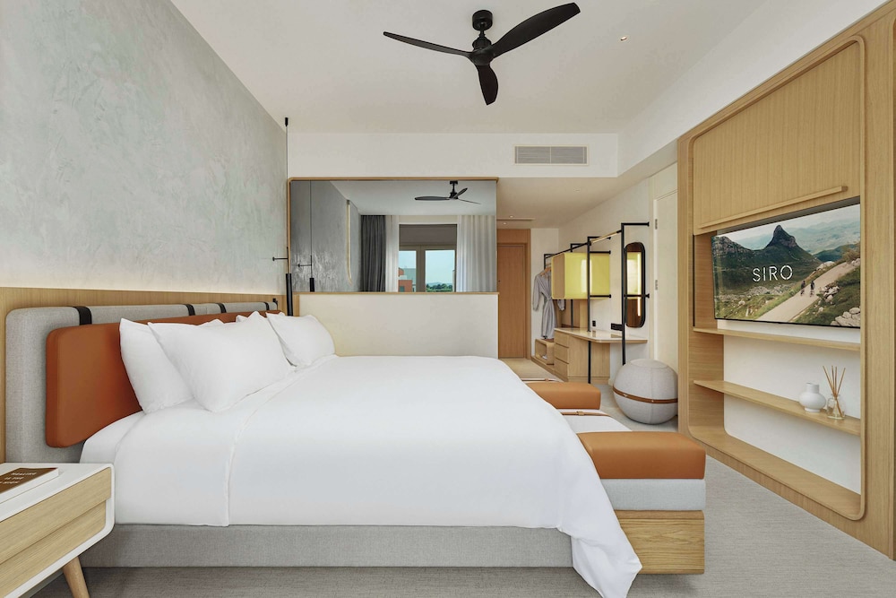 Standard Room, 1 King Bed, Mountain View (SIRO)