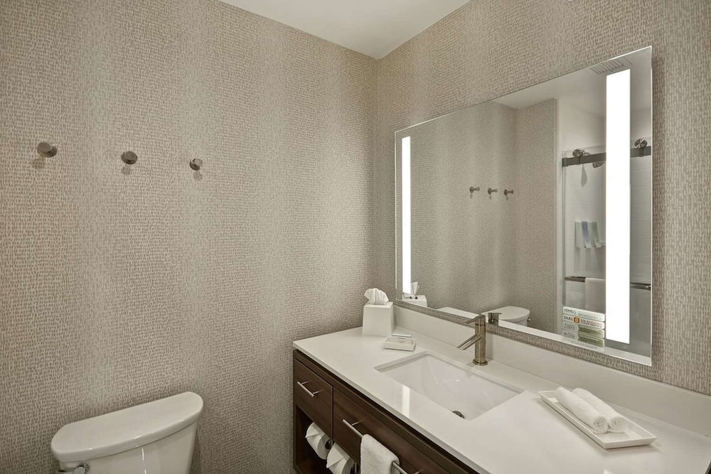 Studio, 1 King Bed, Accessible (Mobility & Hearing, Roll-in Shower) - Photo 8