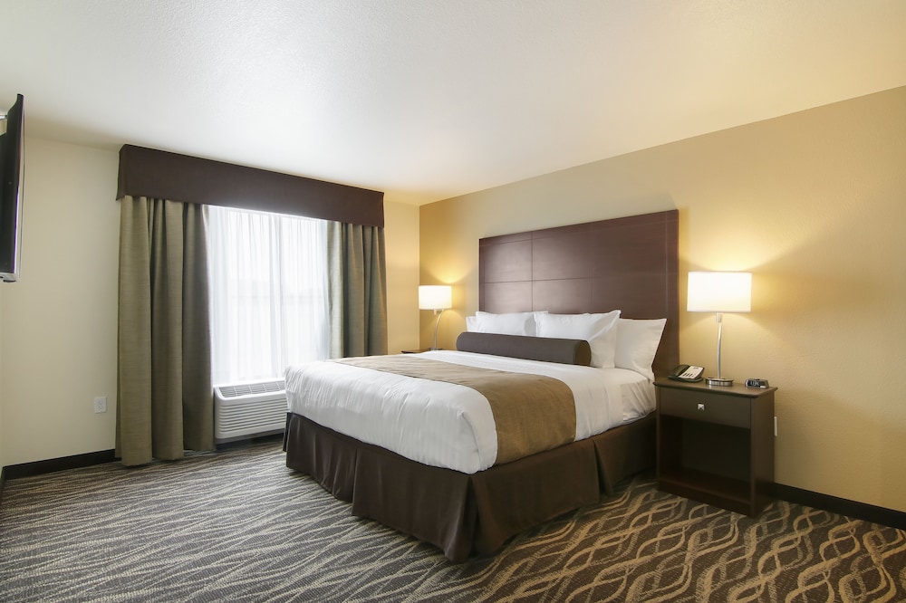 Suite, 1 King Bed with Sleeper Sofa, Accessible Roll in Shower, Non Smoking photo 2