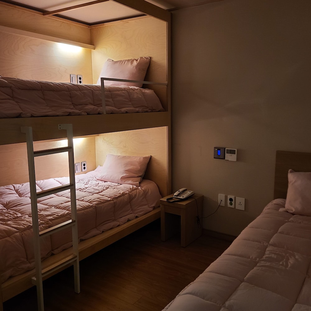 Shared Dormitory, Women only, Non Smoking photo 3