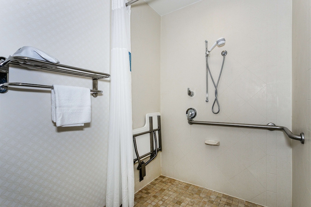 Studio, 1 King Bed, Accessible, Non Smoking (Roll-in Shower) - Photo 4