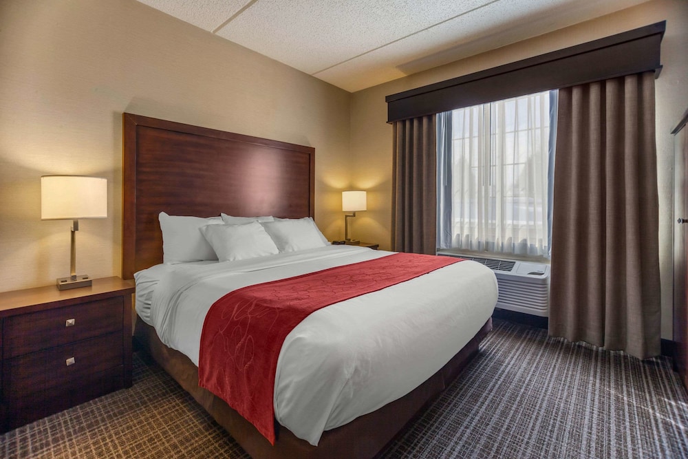Suite, 1 King Bed with Sofa bed, Non Smoking - Photo 1