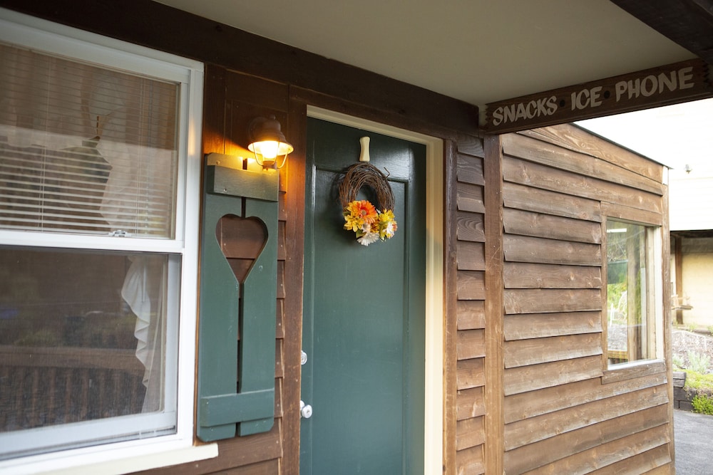 Standard Single Room, 1 Queen Bed, Non Smoking, Mountain View photo 3