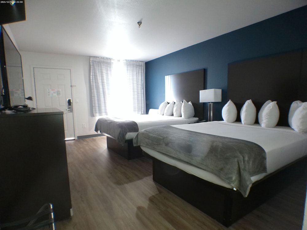 Deluxe Studio Suite, 2 Queen Beds photo 3