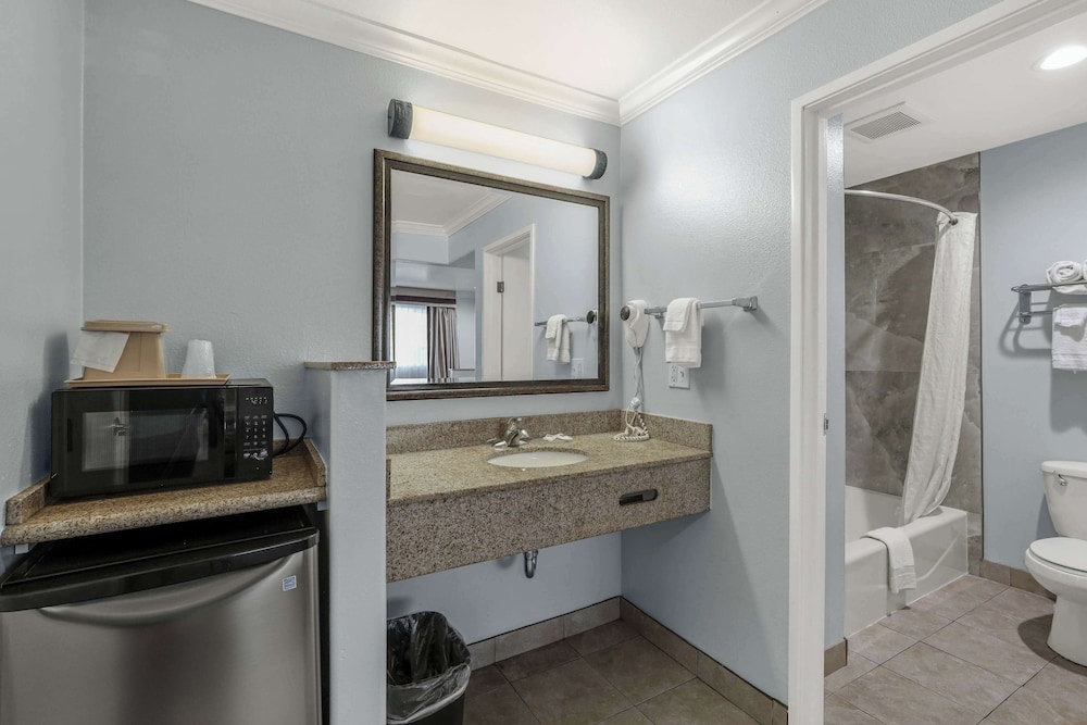 Deluxe Suite, 1 King Bed, Non Smoking, Refrigerator & Microwave - Photo 6