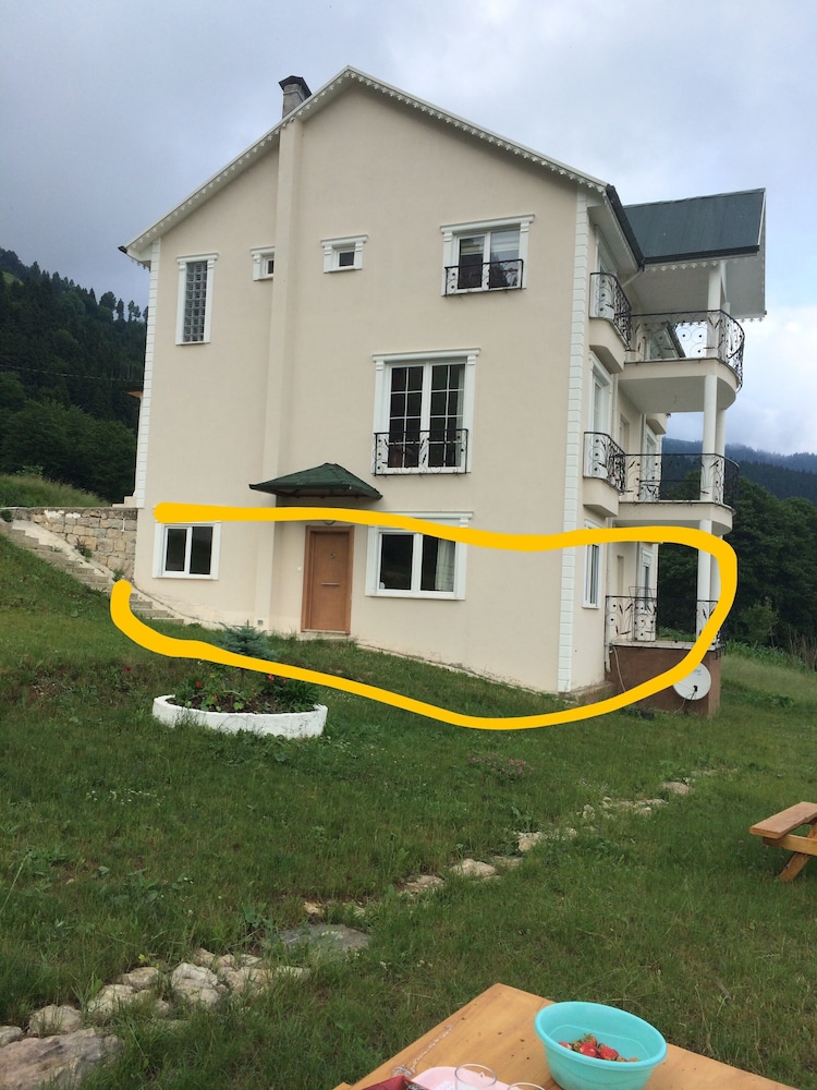 Comfort Apartment, 1 Bedroom, Mountain View