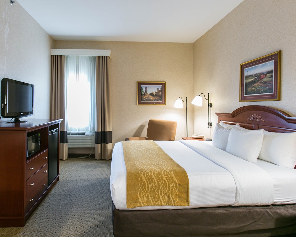 Standard Room, 1 King Bed, Accessible, Non Smoking