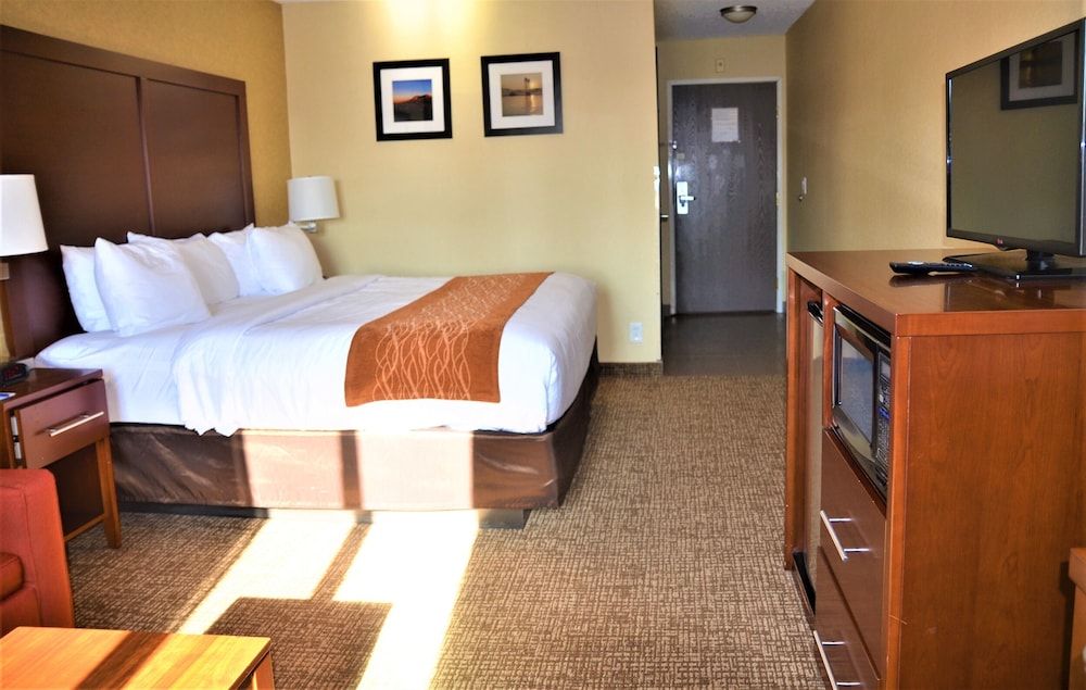 Suite, 1 King Bed with Sofa bed, Transfer Shower, Non Smoking - Photo 1