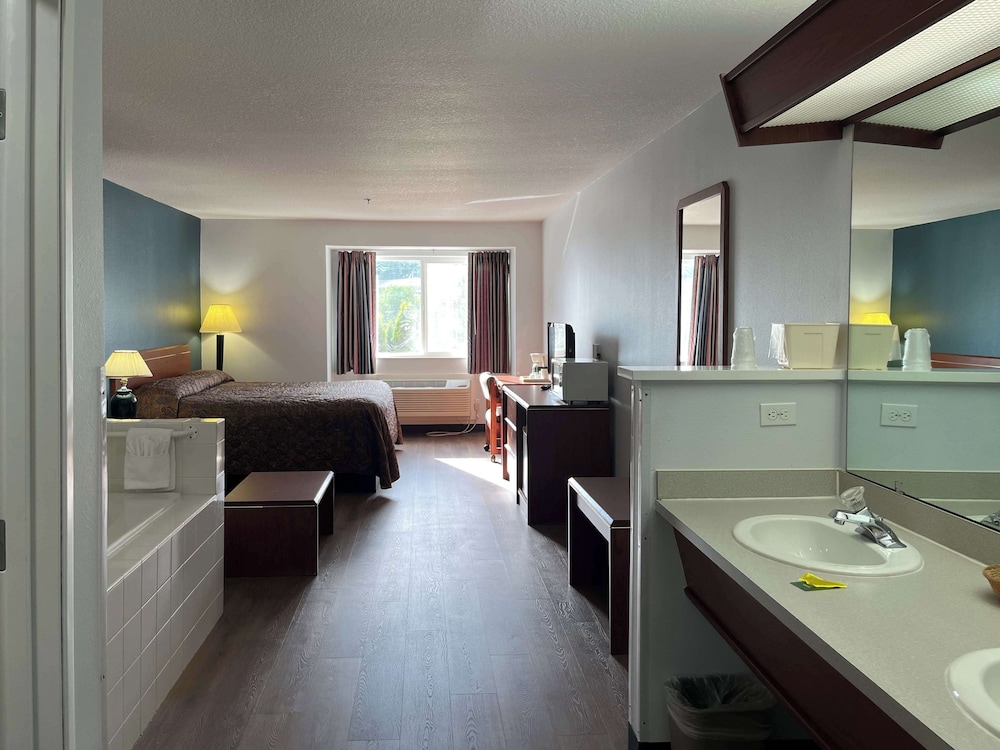 Premium Room, 1 King Bed, Non Smoking, Refrigerator & Microwave