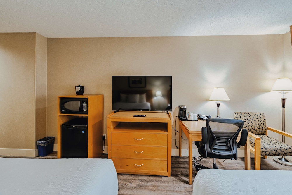 Standard Room, 2 Queen Beds, Non Smoking, Refrigerator & Microwave (Pet Friendly) - Photo 10