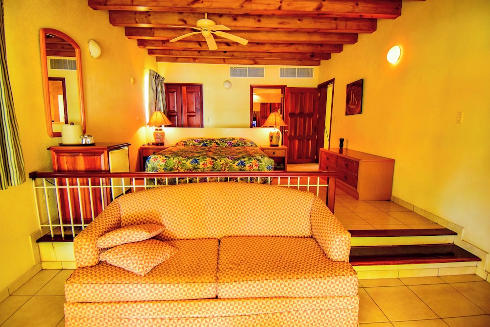 Deluxe Suite photo 1