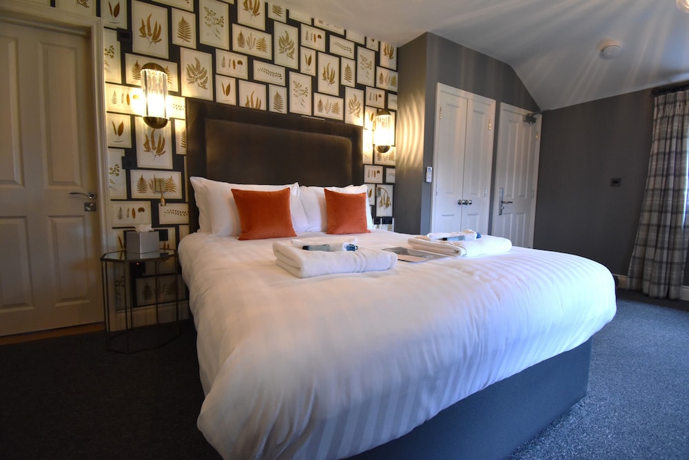 Comfort Room photo 2